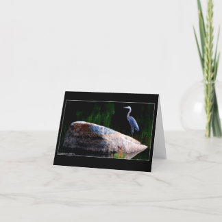 Tarjeta Garza de gran azul