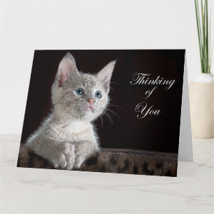 Tarjeta Gatito