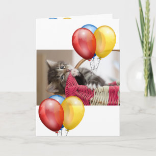 Tarjeta Gatito