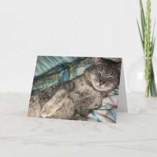 Tarjeta Gatito