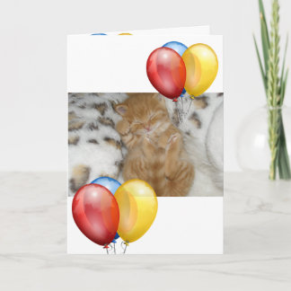 Tarjeta Gatito