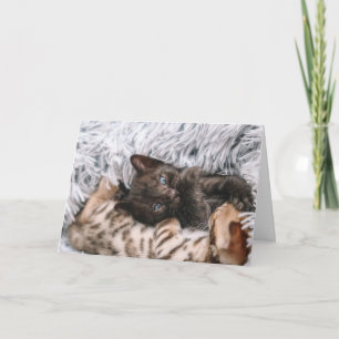 Tarjeta Gatito