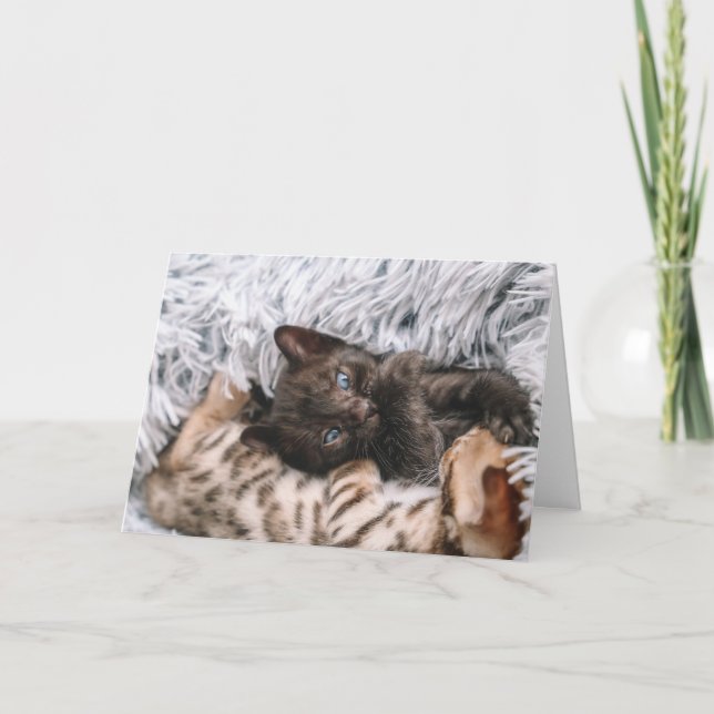 Tarjeta Gatito (Anverso)