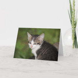 Tarjeta Gatito
