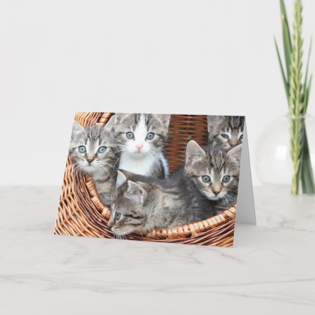 Tarjeta Gatito (Anverso)