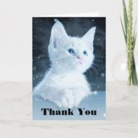Gatito Blanco Adorable con Hermosos Ojos Azules Gr