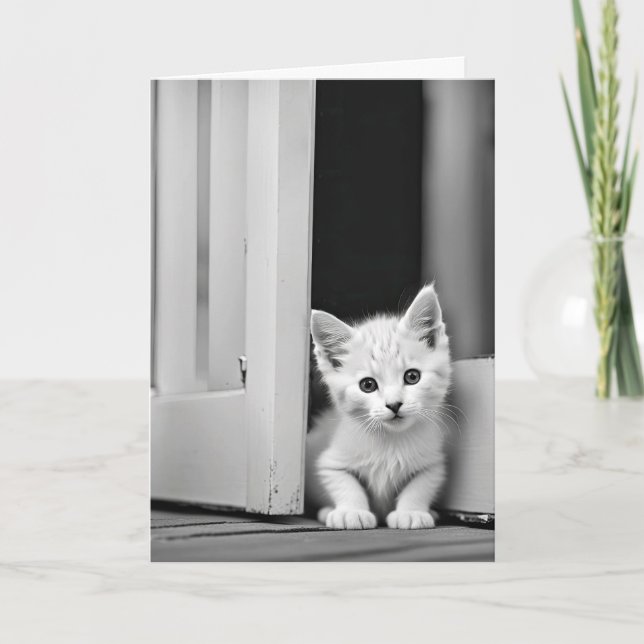 Tarjeta Gatito Blanco De Cumpleaños En La Puerta (Anverso)