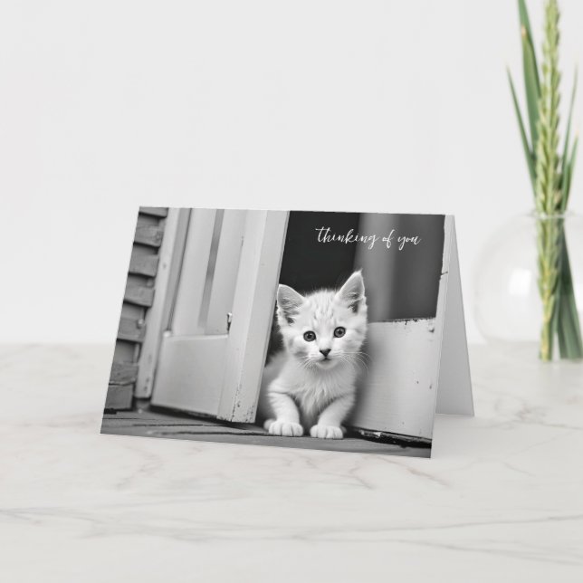Tarjeta Gatito Blanco En La Puerta Pensando En Ti (Anverso)