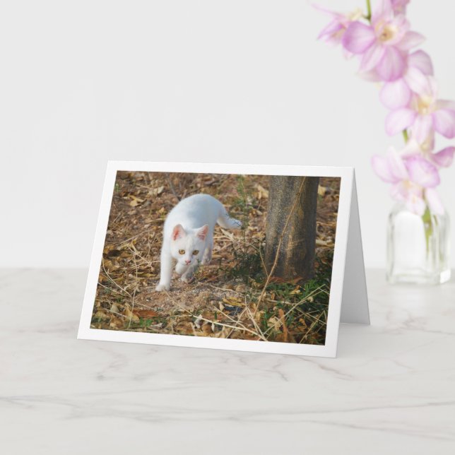 Tarjeta Gatito blanco en retrato forestal (Orquídea)