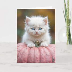 Tarjeta Gatito Blanco Sobre Calabaza De Halloween Rosa