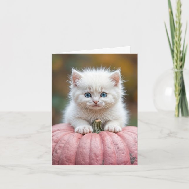 Tarjeta Gatito Blanco Sobre Calabaza Rosa (Anverso)