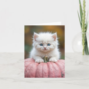 Tarjeta Gatito Blanco Sobre Calabaza Rosa