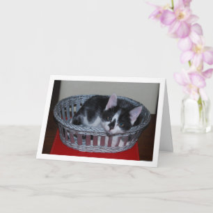 Tarjeta Gatito blanco y negro en cesta