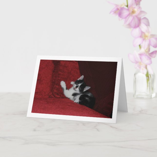 Tarjeta Gatito blanco y negro en un sofá rojo (Orquídea)