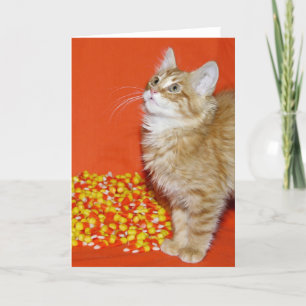 Tarjeta Gatito de Halloween