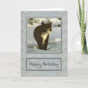 Tarjeta gatito de nieve blanco y negro feliz cumpleaños