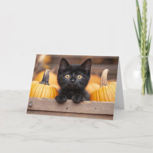 Tarjeta Gatito de Parche de Calabaza