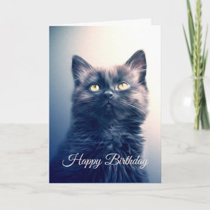 Tarjeta Gatito de pelo largo negro adorable