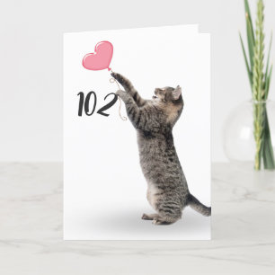 Tarjeta gatito de tabby juguetón para 102 cumpleaños