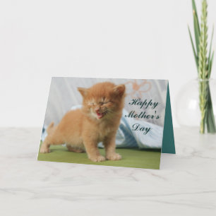 Tarjeta Gatito del Día de la Madre Feliz