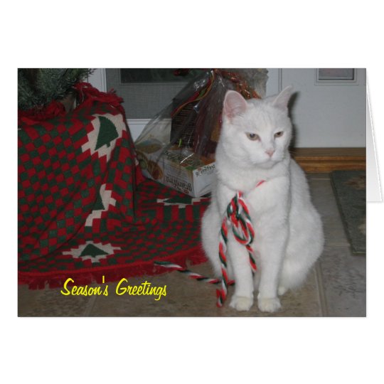Tarjeta Gatito del navidad, P.K.