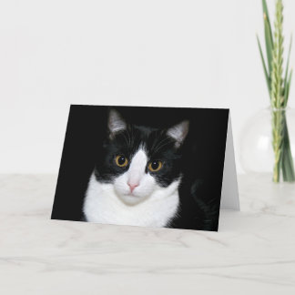 Tarjeta Gatito del smoking