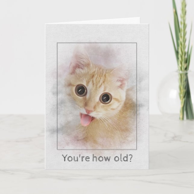 Tarjeta Gatito del tabby del cumpleaños (Anverso)