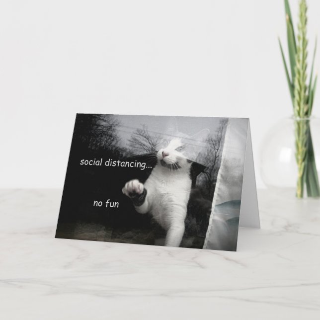 Tarjeta Gatito distante social (Anverso)