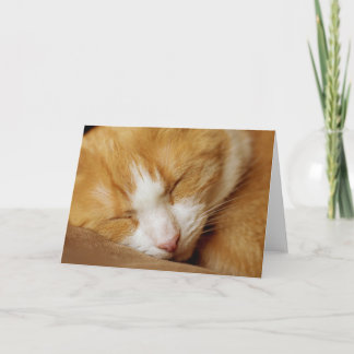 Tarjeta Gatito durmiente