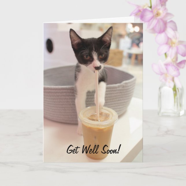 Tarjeta Gatito en café (Orquídea)