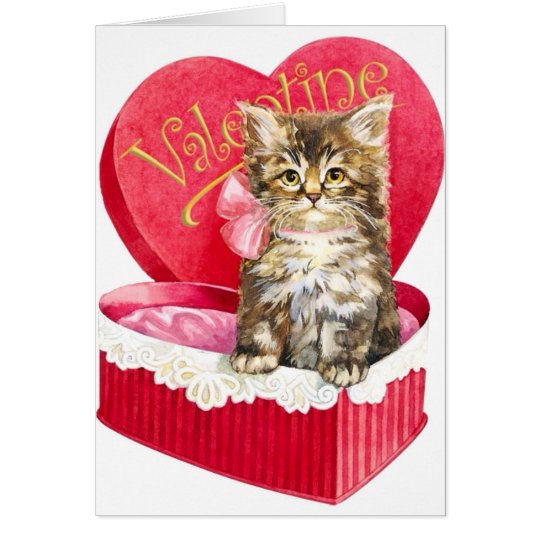 Tarjeta Gatito en caja del caramelo
