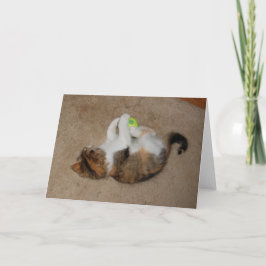 Tarjeta Gatito en el juego con la pelota de tenis