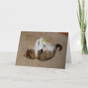 Tarjeta Gatito en el juego con la pelota de tenis