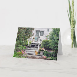 Tarjeta gatito en pasos