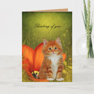 Tarjeta Gatito Gato Blanco Flores "Pensando en ti"