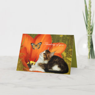 Tarjeta Gatito Gato Blanco Flores "Pensando en ti"
