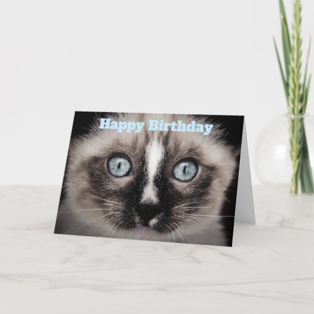 Tarjeta Gatito lindo con ojos azules Feliz cumpleaños (Anverso)