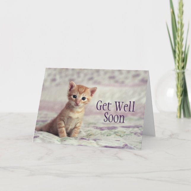 Tarjeta Gatito minúsculo del jengibre (Anverso)