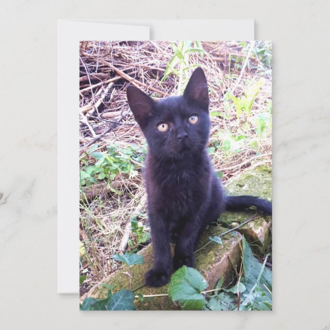 Tarjeta Gatito negro (Anverso)