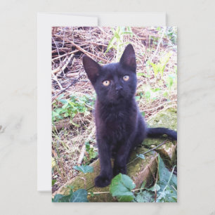 Tarjeta Gatito negro