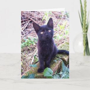 Tarjeta Gatito negro