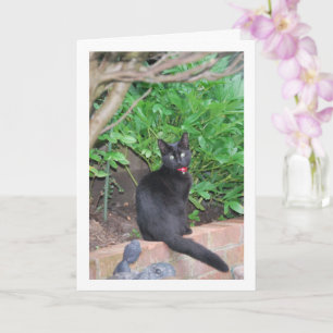 Tarjeta Gatito negro en la pared