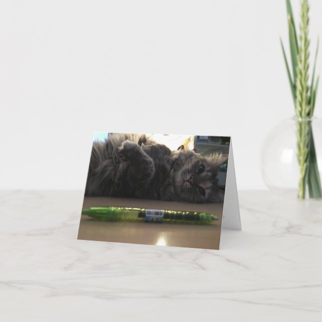 Tarjeta gatito notecard #2 (Anverso)