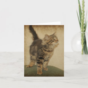 Tarjeta gatito Notecard del iger