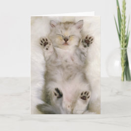 Tarjeta Gatito que duerme en una alfombra mullida blanca,
