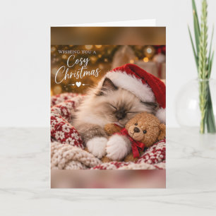 Tarjeta Gatito Ragdoll acogedor de Navidad con oso de pelu