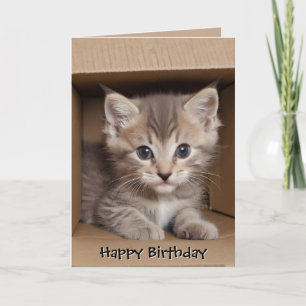 Tarjeta Gatito Tabby de Cumpleaños en Caja de Cartón