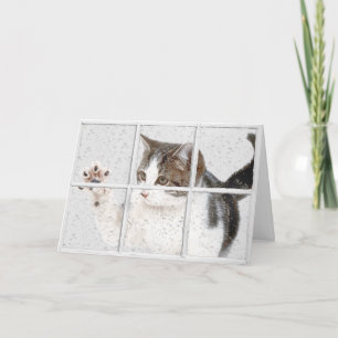 Tarjeta gatito tabby en cumpleaños de ventana