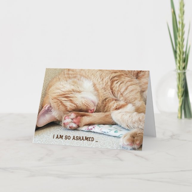 Tarjeta gatito tardío (Anverso)
