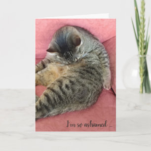 Tarjeta gatito tardío de cumpleaños en silla de color rosa